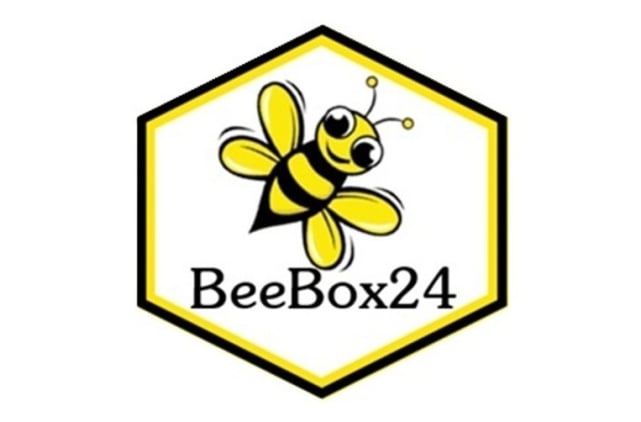 BeeBox24 Bienenschwarm